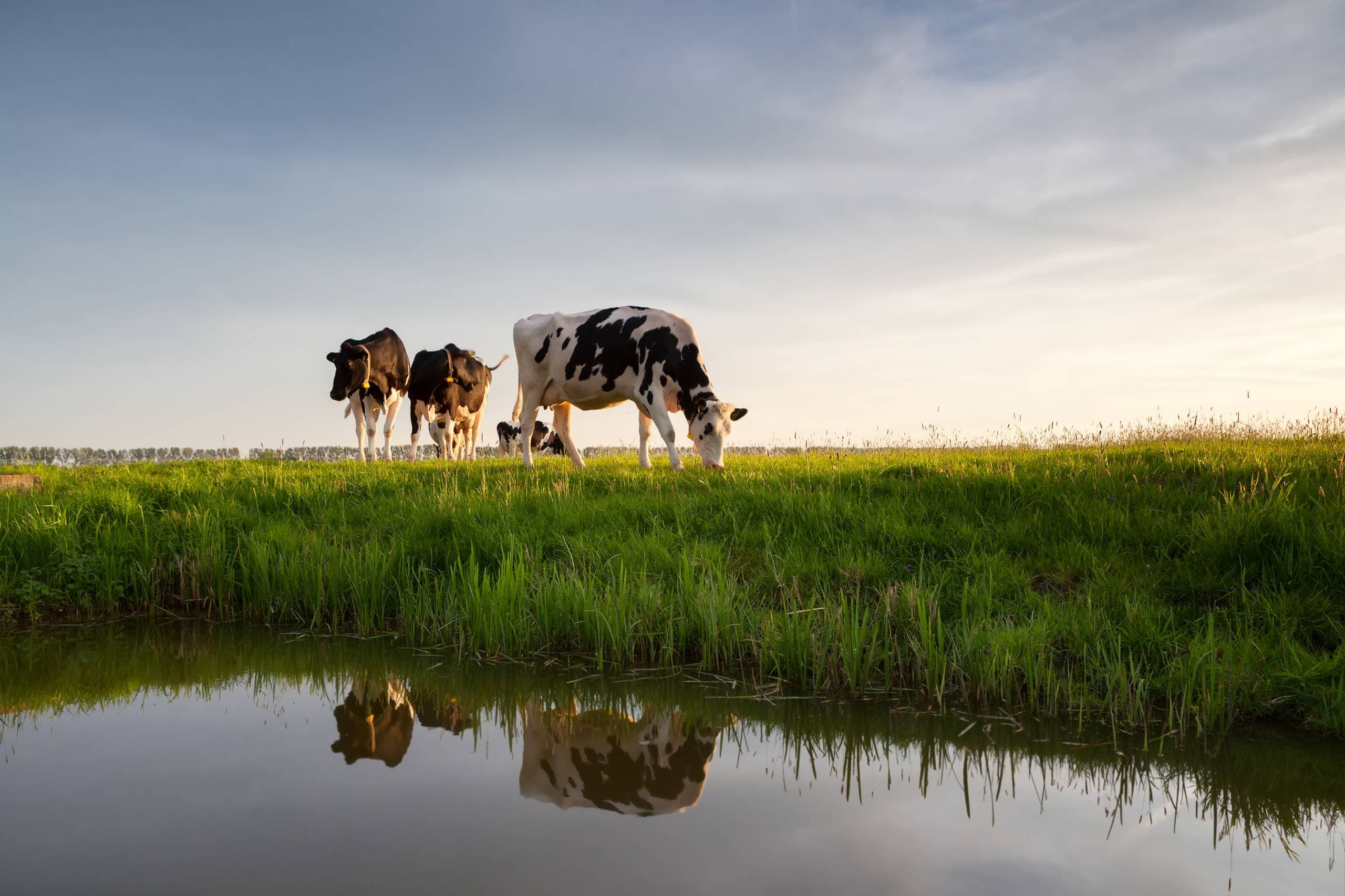 Vesper: Extra gemak en meer contact met een App